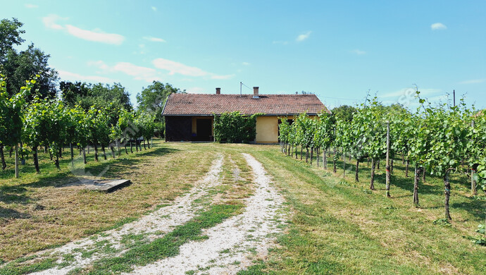 0. kép | Eladó Családi ház, Marcali (#177772)