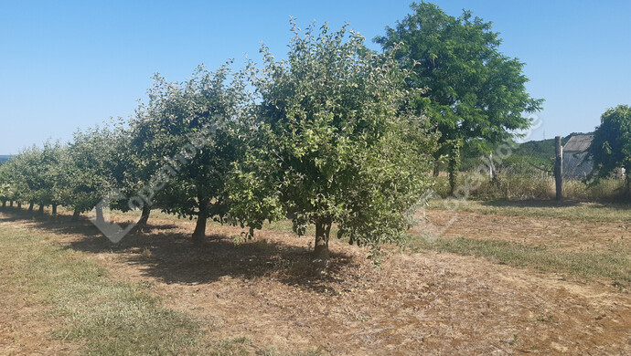 15. kép | Eladó Nyaraló, Sand (#175737)