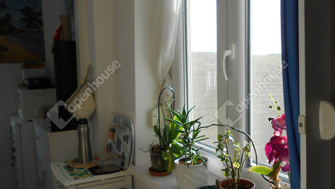 13. kép | Eladó Zárt kert, Zalaegerszeg (#178199)