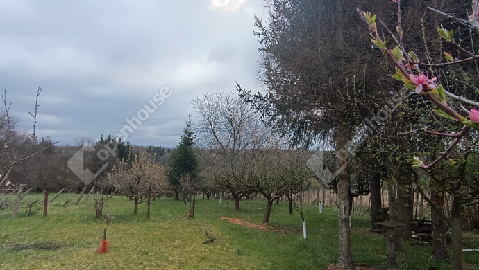 19. kép | Eladó Családi ház, Nagykanizsa (#180983)