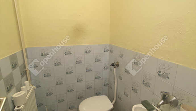 17. kép | Földszinti WC | Eladó Családi ház, Csorna (#181203)