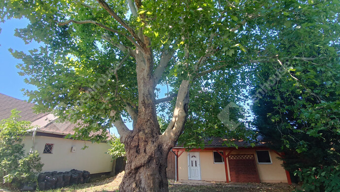 7. kép | Eladó Családi ház, Balatonboglár (#177807)