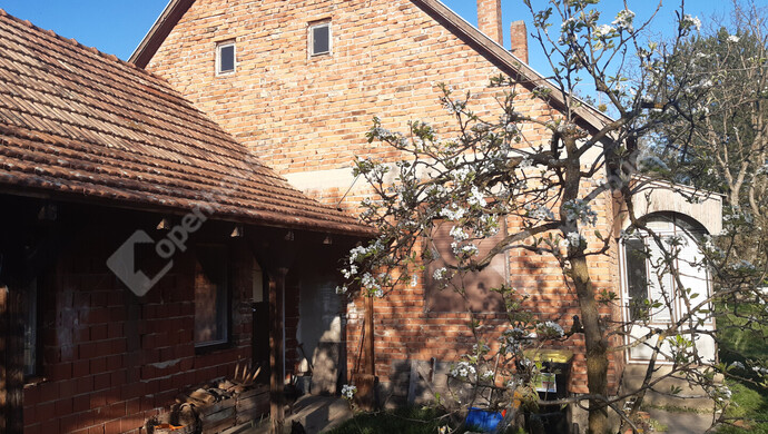 54. kép | Eladó Családi ház, Belezna (#180874)