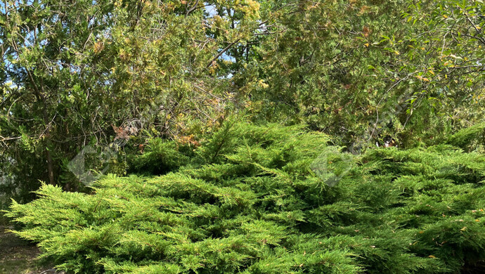 13. kép | Eladó Zárt kert, Bőny (#180133)