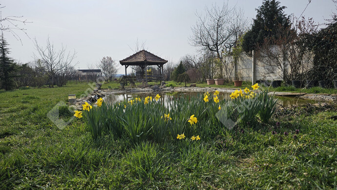 11. kép | Eladó Családi ház, Balatonlelle (#179608)