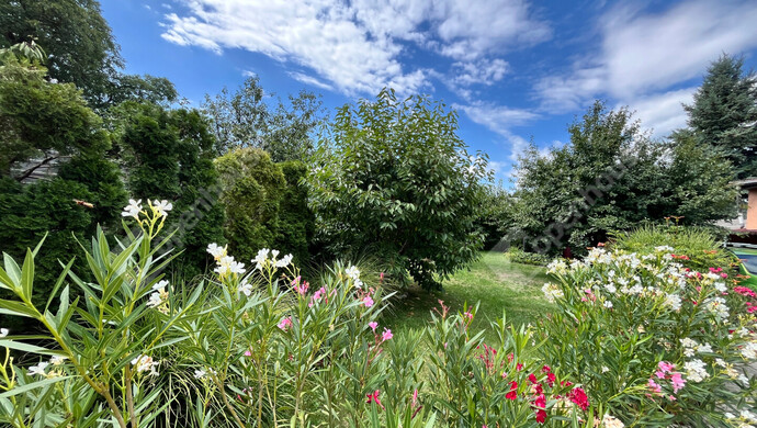 4. kép | Eladó Családi ház, Miskolc (#176736)