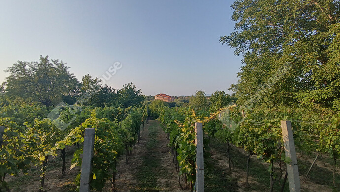 31. kép | Eladó Családi ház, Marcali (#177837)