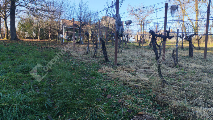 29. kép | Eladó Nyaraló, Letenye (#178652)