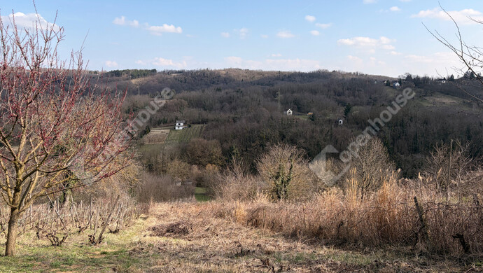 10. kép | Eladó Zárt kert, Pethőhenye (#178674)