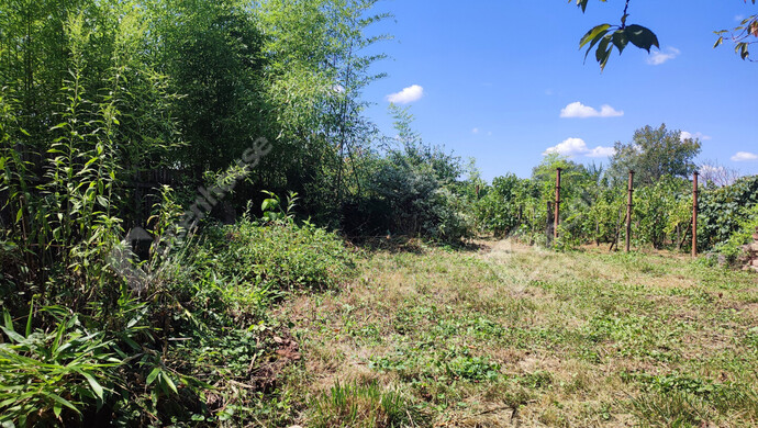 16. kép | Eladó Nyaraló, Szepetnek (#176202)