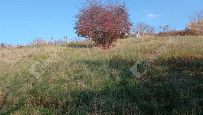 1. kép | Eladó Zárt kert, Zalaegerszeg (#69556)