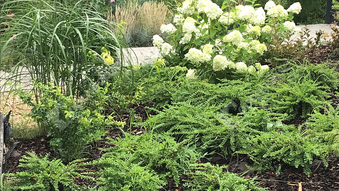 20. kép | Eladó Családi ház, Balatonföldvár (#179219)