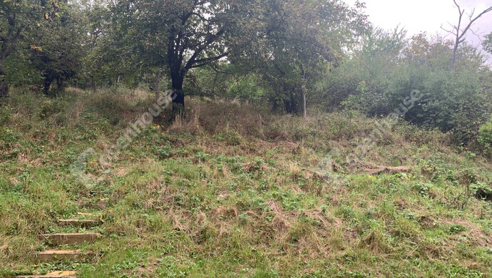 11. kép | Eladó Nyaraló, Kőszeg (#177306)