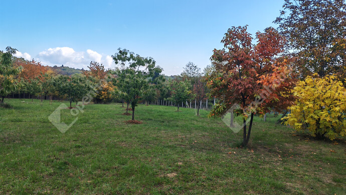 70. kép | Eladó Nyaraló, Nagykanizsa (#177970)