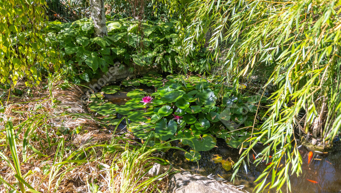 26. kép | Eladó Családi ház, Budapest XXII. Ker. (#176396)