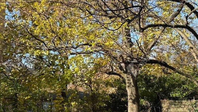 3. kép | Eladó Téglaépítésű lakás, Budapest II. Ker. (#178302)