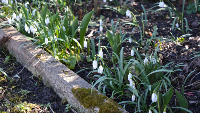 14. kép | Eladó Családi ház, Balatongyörök (#177663)