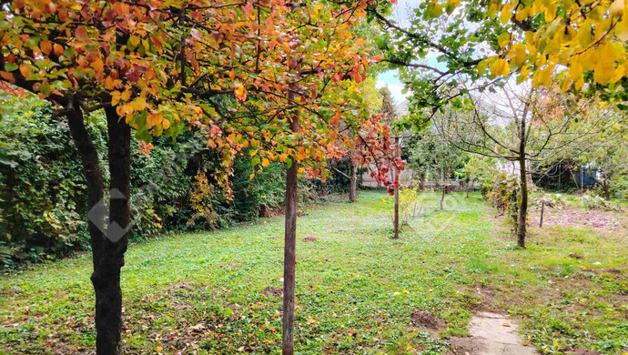 13. kép | Székesfehérvár eladó családi ház | Eladó Családi ház, Székesfehérvár (#177543)