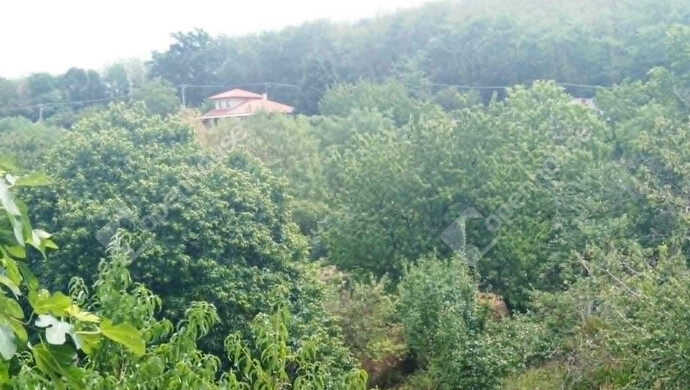 7. kép | Eladó Zárt kert, Zalaegerszeg (#183606)