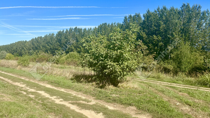 1. kép | Eladó Családi ház, Ádánd (#177301)