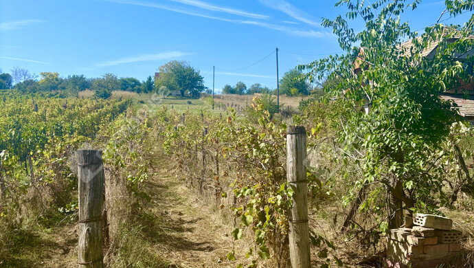 14. kép | Eladó Családi ház, Ádánd (#177301)