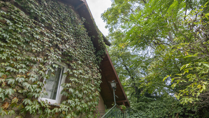 34. kép | Eladó Családi ház, Budapest II. Ker. (#177436)