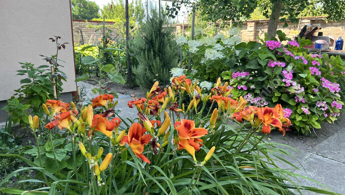 36. kép | Eladó Családi ház, Balatonmáriafürdő (#178039)