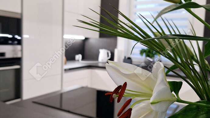 1. kép | Eladó Családi ház, Győrújfalu (#177937)