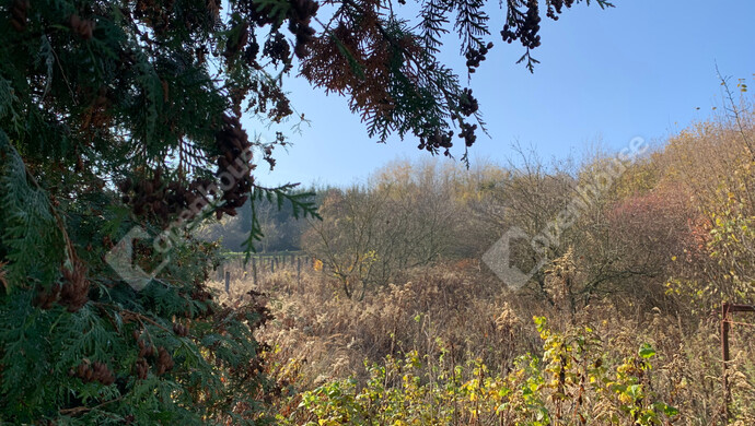 12. kép | Eladó Nyaraló, Homokkomárom (#178400)