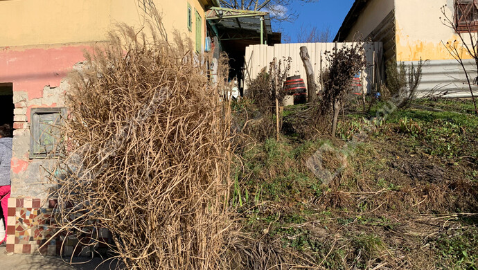 75. kép | Eladó Nyaraló, Homokkomárom (#179898)