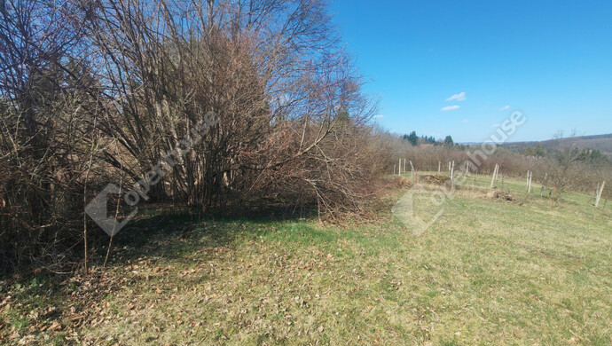 24. kép | Eladó Telek, Nagykanizsa (#180397)