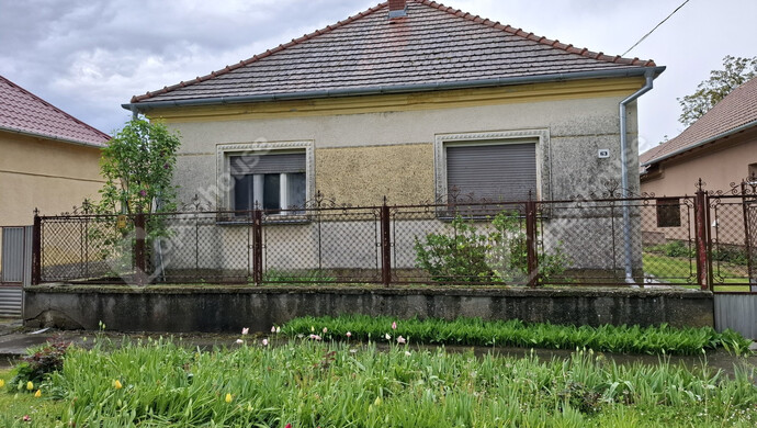 15. kép | Eladó Családi ház, Gyékényes (#174795)
