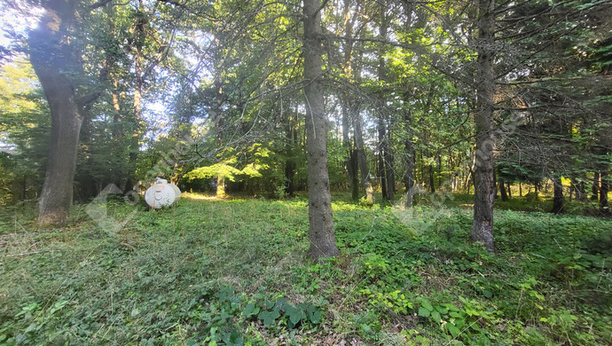 18. kép | Eladó Családi ház, Pilisszentkereszt (#177077)