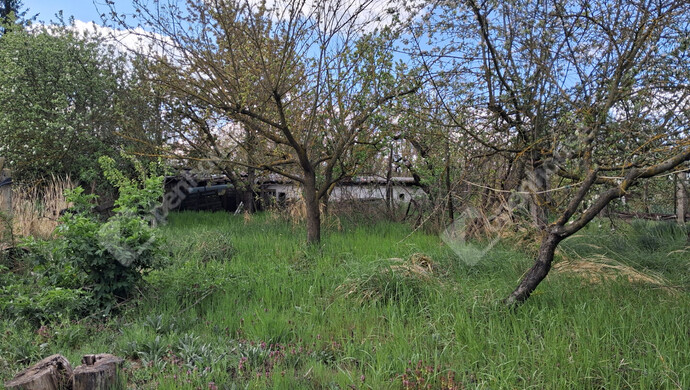 20. kép | Eladó Családi ház, Komárom (#181216)