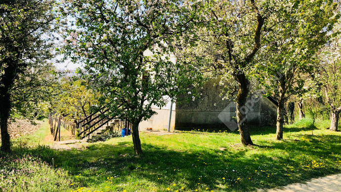 18. kép | Eladó Nyaraló, Murakeresztúr (#181161)