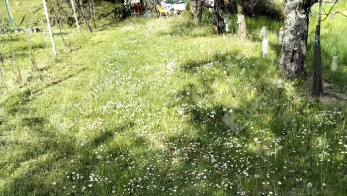 5. kép | Eladó Zárt kert, Ságvár (#178272)