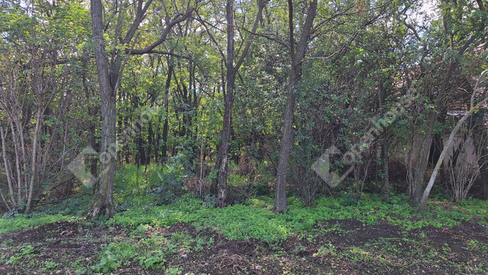 0. kép | Eladó Telek, Pápoc (#176856)