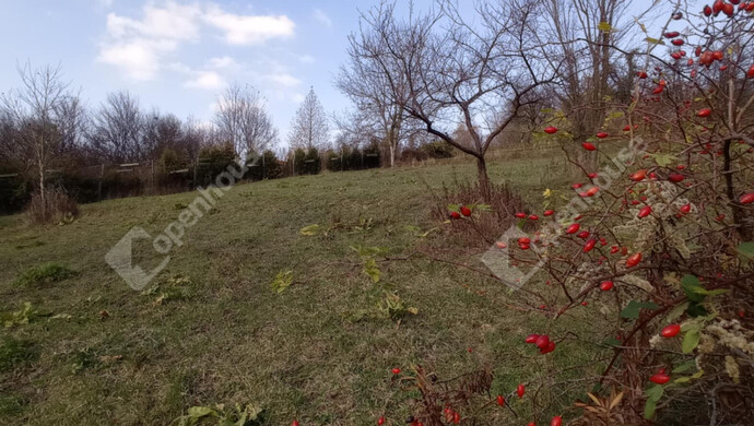 5. kép | Eladó Zárt kert, Zalaegerszeg (#69557)