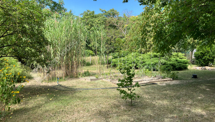 21. kép | Eladó Zárt kert, Bőny (#180133)