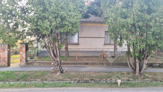 3. kép | Eladó Családi ház, Mesteri (#180364)