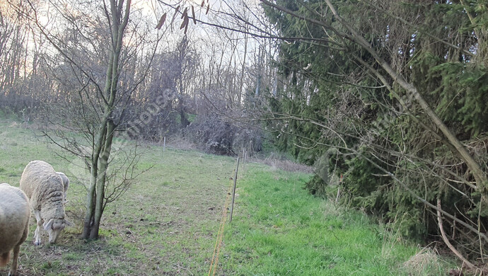 30. kép | Eladó Telek, Homokkomárom (#180337)