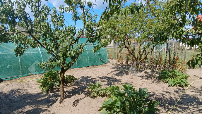 36. kép | Eladó Családi ház, Nagykanizsa (#176993)