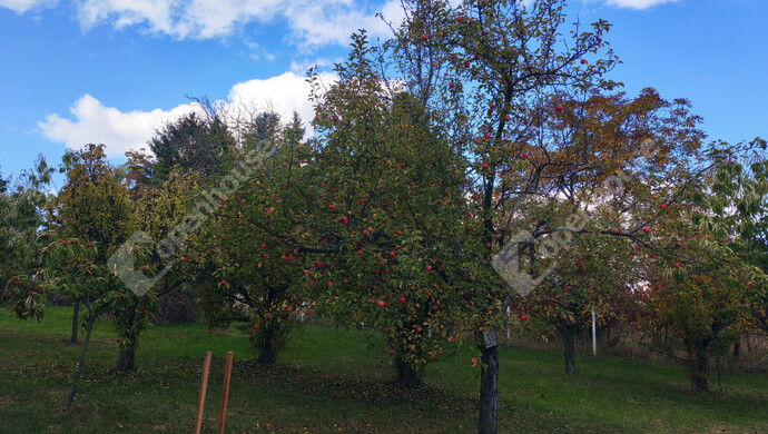 73. kép | Eladó Nyaraló, Nagykanizsa (#177970)