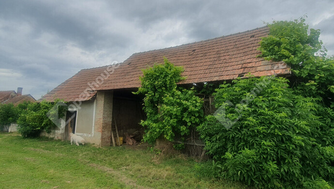 27. kép | Eladó Családi ház, Balatonmagyaród (#182281)