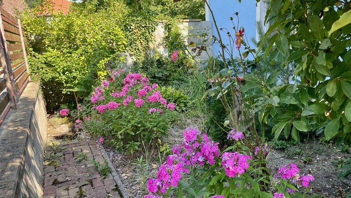 32. kép | Eladó Családi ház, Sopron (#176718)