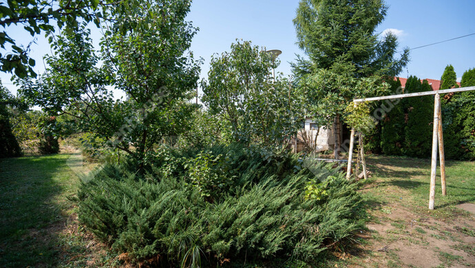 32. kép | Eladó Családi ház, Tiszalúc (#176981)