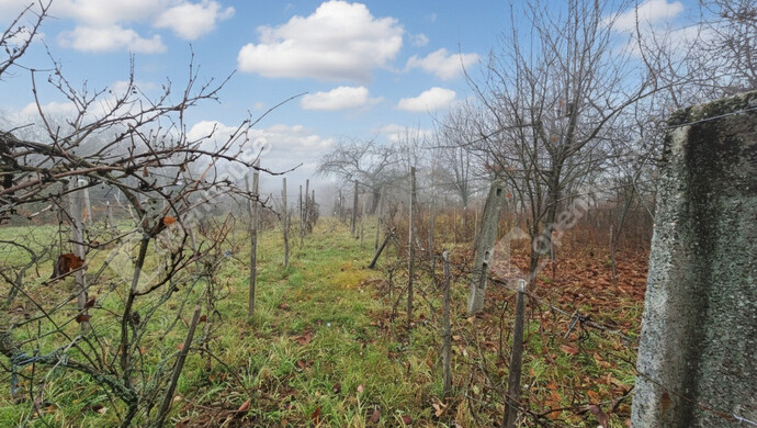 3. kép | Eladó Zárt kert, Mályi (#178619)