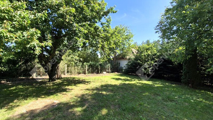 11. kép | Eladó Családi ház, Szőlősgyörök (#178726)