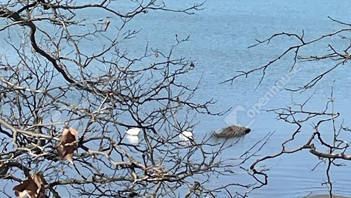 46. kép | Eladó Téglaépítésű lakás, Siófok (#180278)