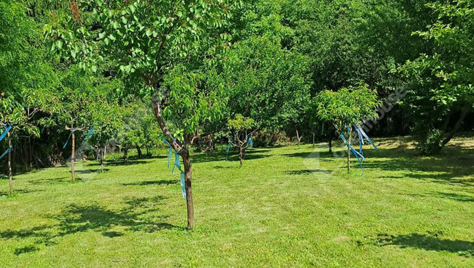 9. kép | Eladó Zárt kert, Lenti (#179558)